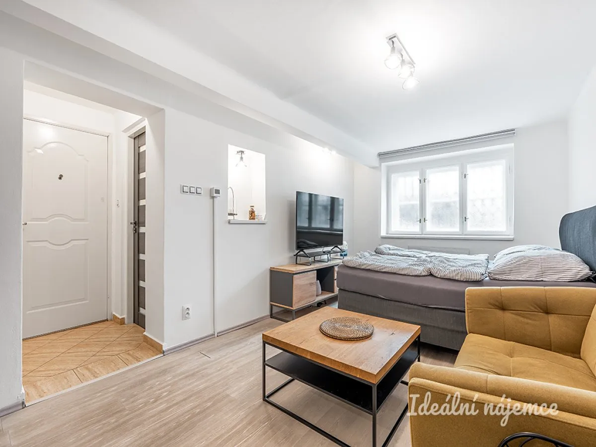 Pronájem bytu 1+kk 24 m²